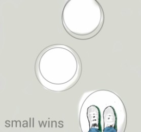 small wins - dctl